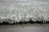 Dywan Me Gusta - 8040-02 ( 160x230 cm )