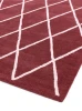 Dywan Asiatic Contemporary Design - ALBANY Diamond Berry