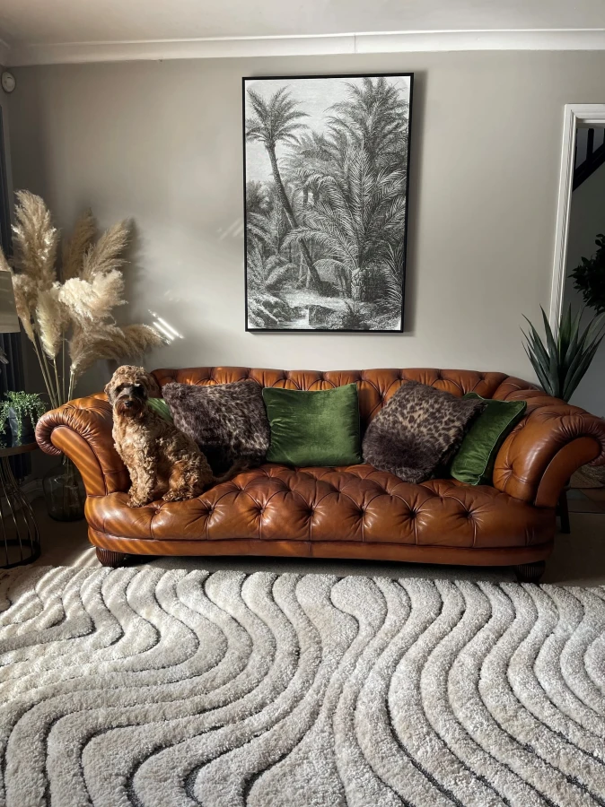 Dywan Asiatic Easy Living - Ariana AR10