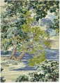 Dywan Sanderson - ANCIENT CANOPY 146708 Forest Green