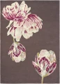 Dywan Ted Baker - TRANQUILITY 56005 Aubergine