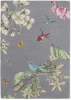 Dywan Wedgwood - HUMMINGSBIRD 37804 Grey