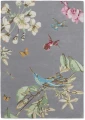 Dywan Wedgwood - HUMMINGSBIRD 37804 Grey