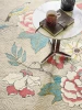 Dywan Wedgwood - PAEONIA 37902 Coral