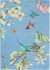 Dywan Wedgwood - HUMMINGSBIRD 37808 Blue