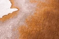 9326_CHESTNUT_DETAIL02__WEB.webp