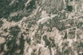 Dywan Louis De Poortere - CRACKS 8723 Dark Pine