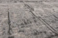 Dywan Louis De Poortere - GRIFF 8420 Jersey Stone