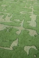 9202_PERRIERSGREEN_DETAIL3_WEB.webp
