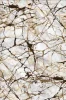 21136-tosc-jpg1662643554.webp