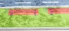 Dywan Modern Rugs - PRINT KIDS 2624 Green