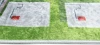 Dywan Modern Rugs - PRINT KIDS 9033 Green