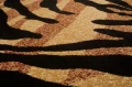 Dywan Modern Rugs - Standard 6601A Black