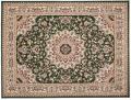 Dywan Modern Rugs - Standard F740A Green
