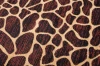 Dywan Modern Rugs - Standard J312B Black
