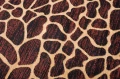 Dywan Modern Rugs - Standard J312B Black