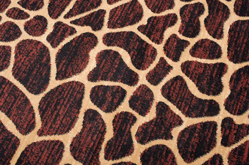 Dywan Modern Rugs - Standard J312B Black