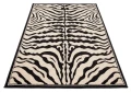 Dywan Modern Rugs - Standard J315B Black