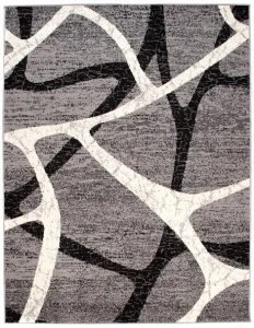 Dywan Modern Rugs - STANDARD D319C Gray