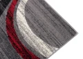 Dywan Modern Rugs - Standard F844B Gray