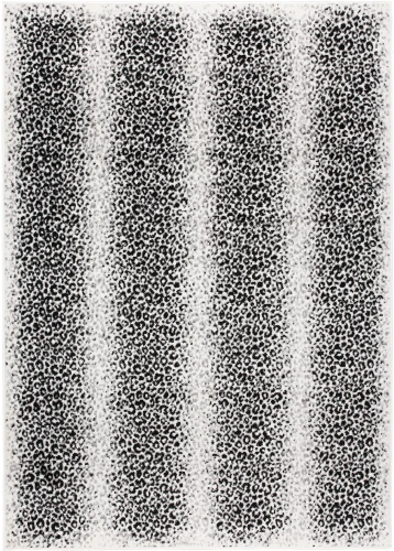 Dywan Modern Rugs - Standard 4069A Cream / D.Gray