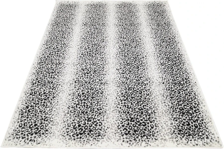Dywan Modern Rugs - Standard 4069A Cream / D.Gray