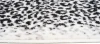 Dywan Modern Rugs - Standard 4069A Cream / D.Gray