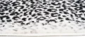 Dywan Modern Rugs - Standard 4069A Cream / D.Gray