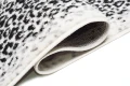 Dywan Modern Rugs - Standard 4069A Cream / D.Gray
