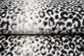 Dywan Modern Rugs - Standard 4069A Cream / D.Gray