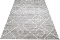 Dywan Modern Rugs - SHAGGY COLLECTION 4003A D.Silver
