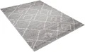 Dywan Modern Rugs - SHAGGY COLLECTION 4003A D.Silver