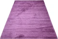 Dywan Modern Rugs - SHAGGY COLLECTION 7388A Frambuaz