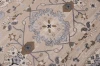Dywan Modern Rugs - CLASSIC H531C Light Beige