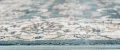 Dywan Modern Rugs - CLASSIC T598A Blue