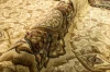 Dywan Modern Rugs - PREMIUM 5071A Cream
