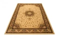 Dywan Modern Rugs - PREMIUM 5071A Cream