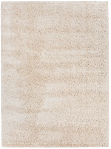 Dywan Modern Rugs - SHAGGY SOFT 6365A Beige