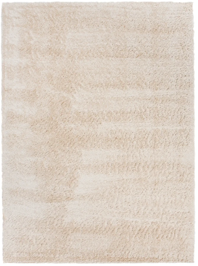 Dywan Modern Rugs - SHAGGY SOFT 6365A Beige