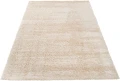 Dywan Modern Rugs - SHAGGY SOFT 6365A Beige