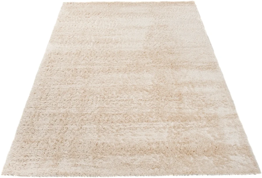 Dywan Modern Rugs - SHAGGY SOFT 6365A Beige