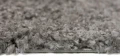 Dywan Modern Rugs - SHAGGY SOFT 6365A Dark Gray