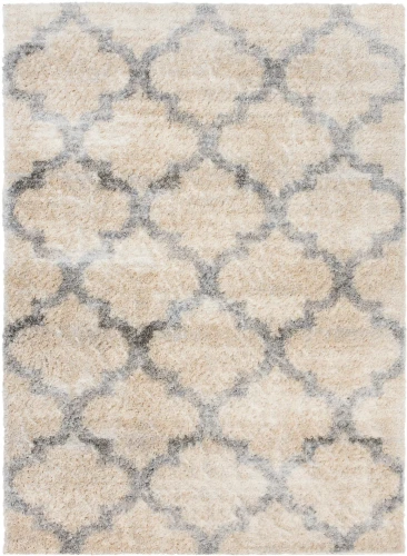 Dywan Modern Rugs - SHAGGY SOFT Z191A Beige