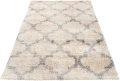 Dywan Modern Rugs - SHAGGY SOFT Z191A Beige