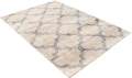 Dywan Modern Rugs - SHAGGY SOFT Z191A Beige