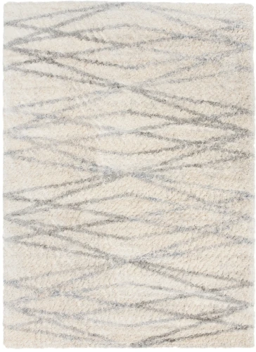 Dywan Modern Rugs - SHAGGY SOFT Z518A Cream