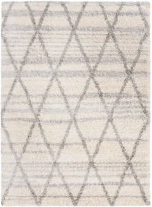 Dywan Modern Rugs - SHAGGY SOFT Z520A Cream
