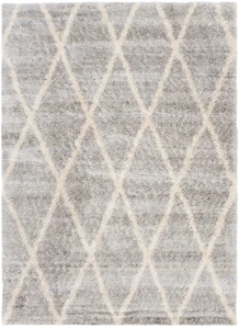 Dywan Modern Rugs - SHAGGY SOFT Z520A Gray