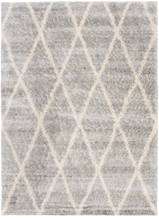 Dywan Modern Rugs - SHAGGY SOFT Z520A Gray
