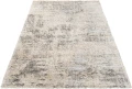 Dywan Modern Rugs - SHAGGY SOFT Z819A Light Gray